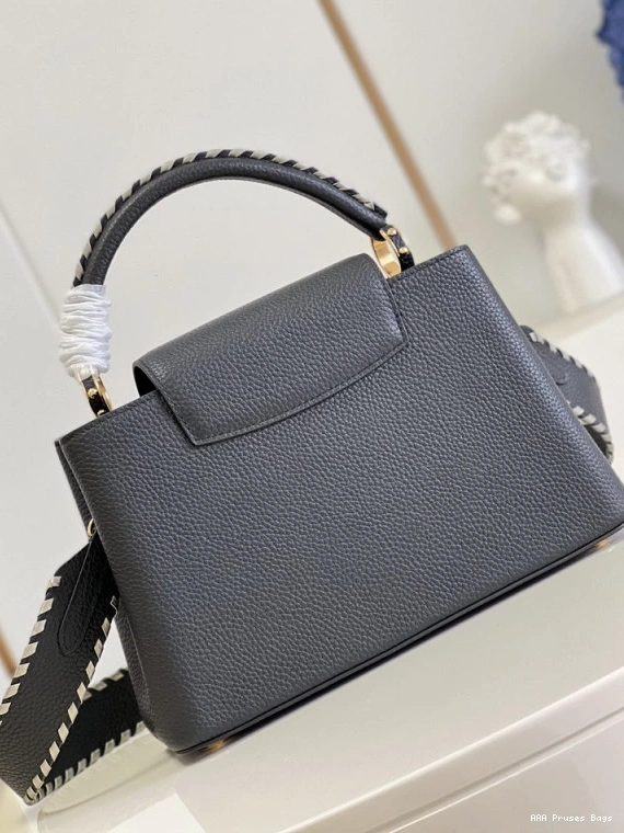 AAA Pruses Bags LOUIS VUITTON MM CAPUCINES 0814
